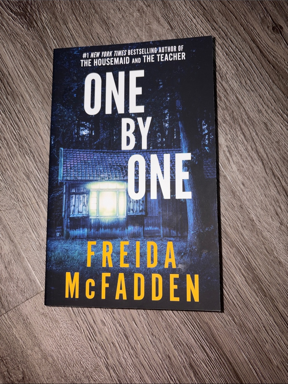 One By One by Freida McFadden Blue Paperback Thriller